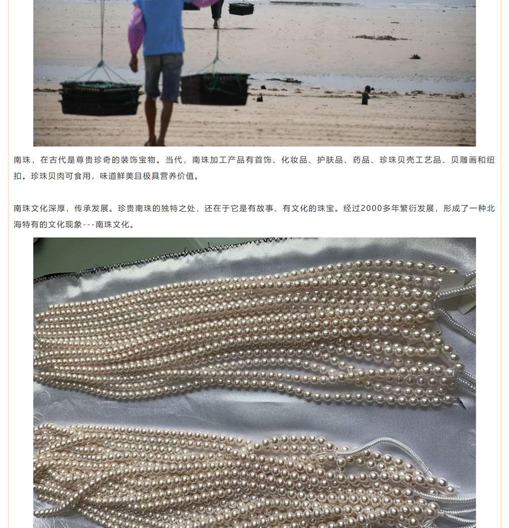 古老南珠，綻放異彩