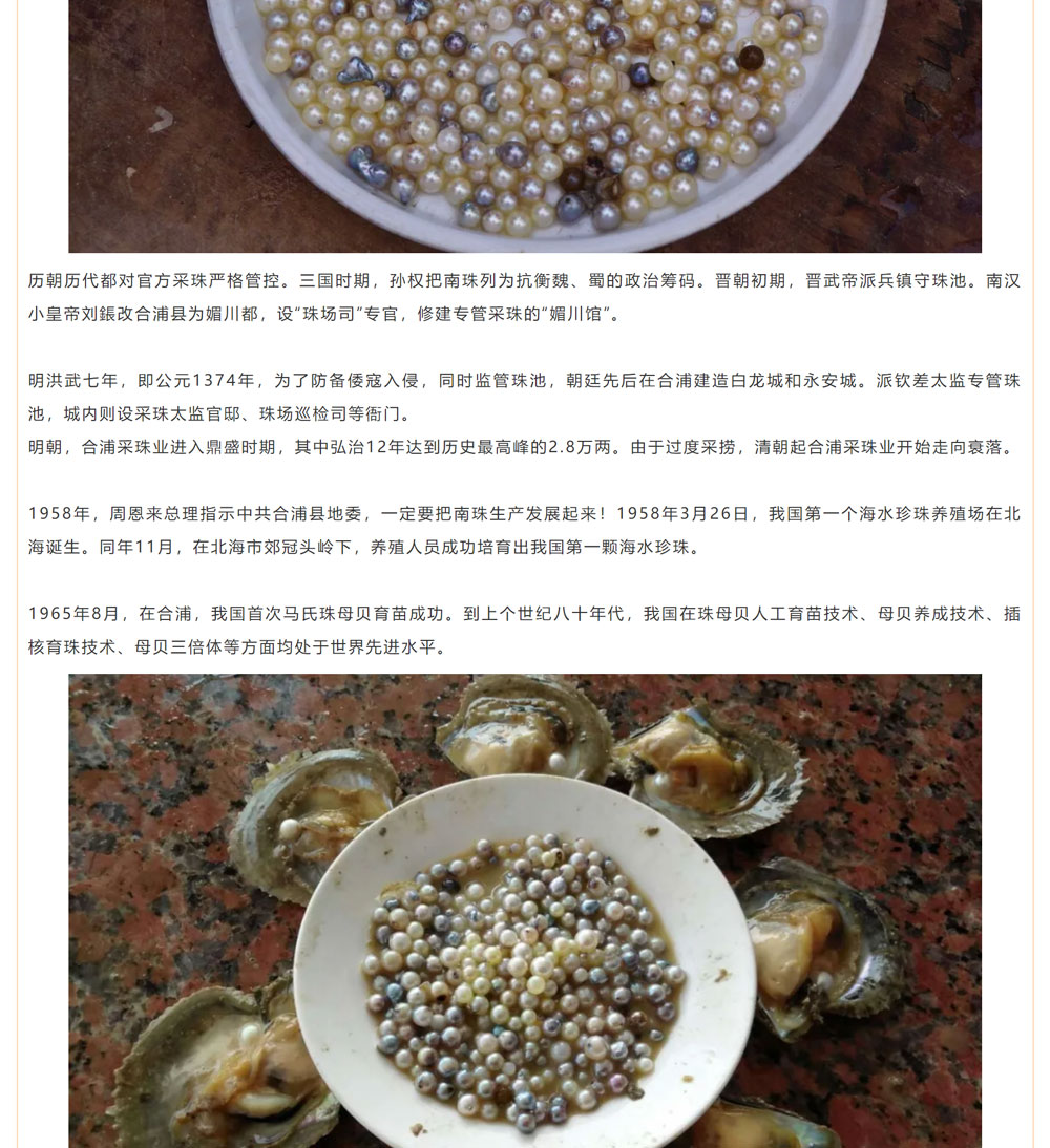 古老南珠，綻放異彩