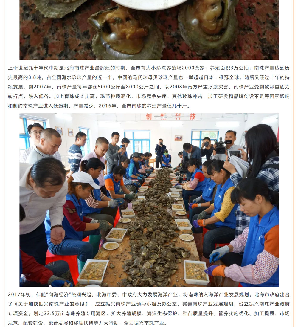 古老南珠，綻放異彩