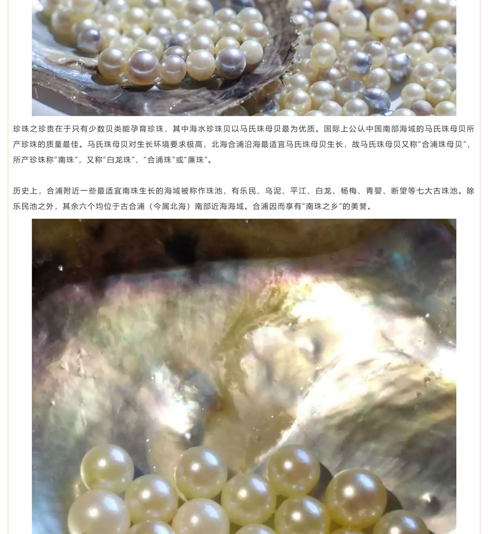 古老南珠，綻放異彩