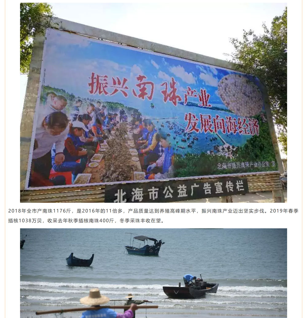 古老南珠，綻放異彩